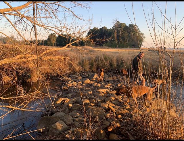 230,000M² FARM RENTED IN KARKLOOF